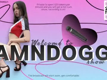 damndoggy live broadcast