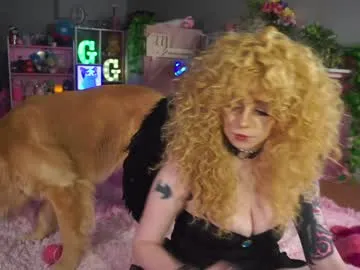 sieena live broadcast Image 2