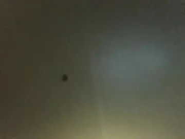 Runarunapi – webcam model profile photo Image 11