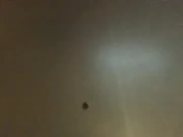 Runarunapi – webcam model profile photo Image 6