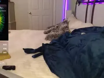 ava_delightt live broadcast Image 7