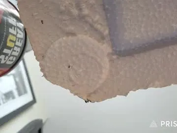 itskassielee – webcam model profile photo Image 8