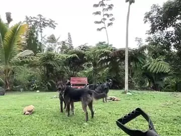 phantom_wave – webcam model profile photo Image 14