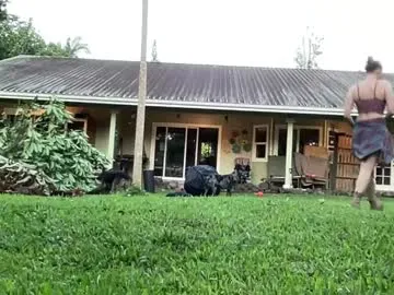 phantom_wave – webcam model profile photo Image 7