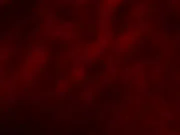 camille-w – webcam model profile photo Image 15