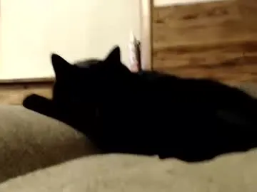 brazilians_doitbetter – webcam model profile photo Image 17