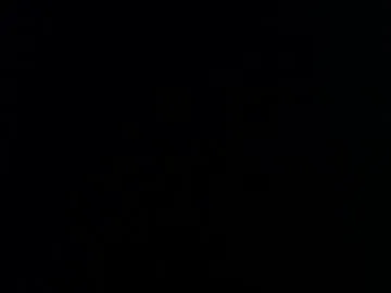 mollyflwers – webcam model profile photo Image 4