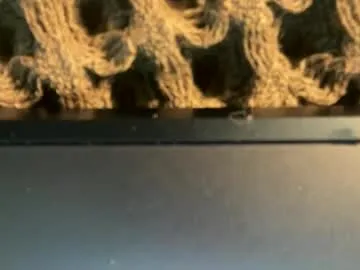 playhardsex – webcam model profile photo Image 18