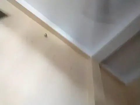 yesonee – webcam model profile photo Image 2