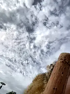 Hahaha_ha2 – webcam model profile photo Image 14