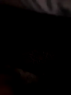 Runarunapi – webcam model profile photo Image 12