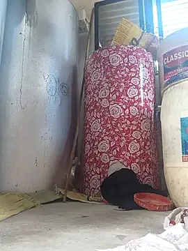 _gummies15 – webcam model profile photo Image 8